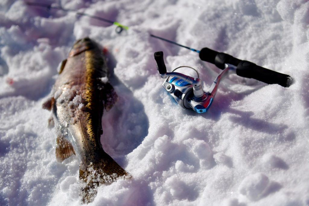 Go at the Right Time for Winter Fishing