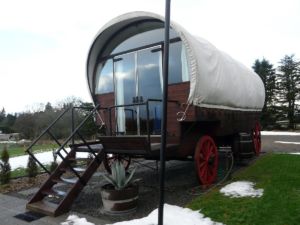 Glamping Campervans or Trailers